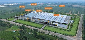 巅峰国际官网-钻营健全,你我一路成长