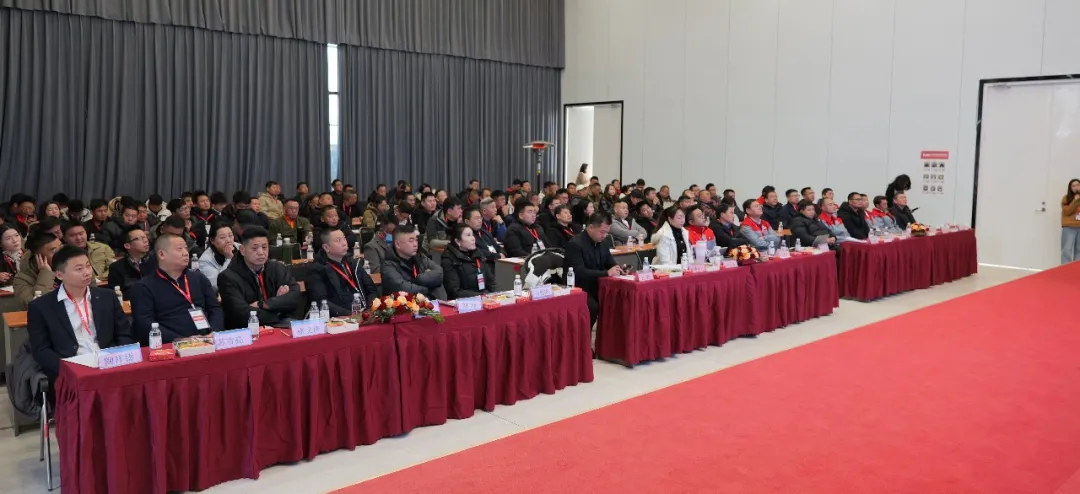 巅峰国际官网-钻营健全,你我一路成长